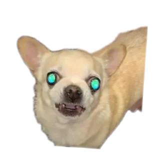 Sticker Создай стики 👉 @new_stickerbot - 11