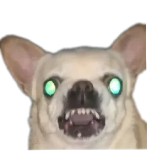 Sticker Создай стики 👉 @new_stickerbot - 5