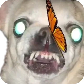 Sticker Создай стики 👉 @new_stickerbot - 4