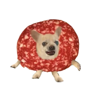 Sticker Создай стики 👉 @new_stickerbot - 2