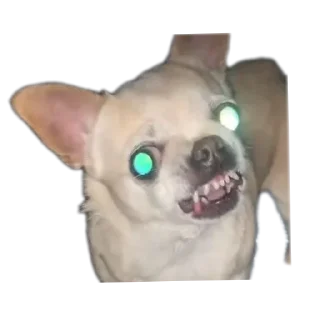 Sticker Создай стики 👉 @new_stickerbot - 6