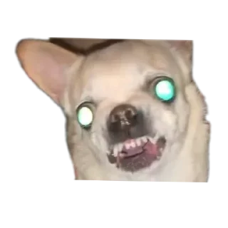 Sticker Создай стики 👉 @new_stickerbot - 1