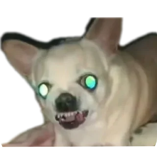 Sticker Создай стики 👉 @new_stickerbot - 3