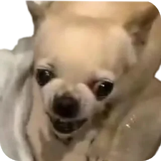 Sticker Создай стики 👉 @new_stickerbot - 9