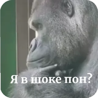 Sticker @ponpon - 10