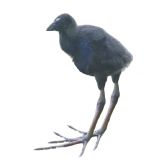 Стикер СэнМэн - 9