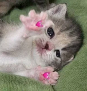 Sticker 22 @TgEmodziBot - 8