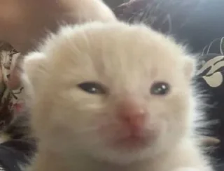 Sticker 22 @TgEmodziBot - 11