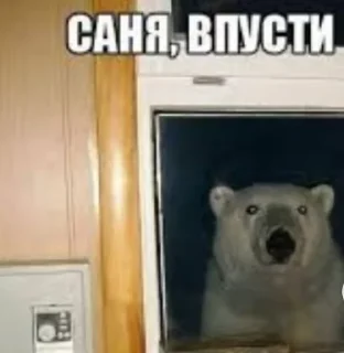 Sticker Well well well... @TgEmodziBot - 10