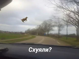 Стикер Наркоманки @TgEmodziBot - 5