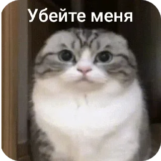 Стикер Стул @MoiStikiBot - 3