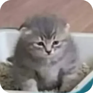 Стикер Стул @MoiStikiBot - 2