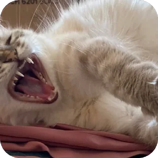 Стикер Эмодзи 👉 @sbornik_emoji - 6