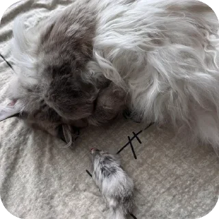 Стикер Эмодзи 👉 @sbornik_emoji - 3