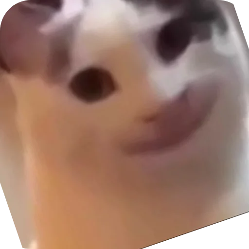 Sticker packca95cf94f0db_by_new_stickerbot - 1