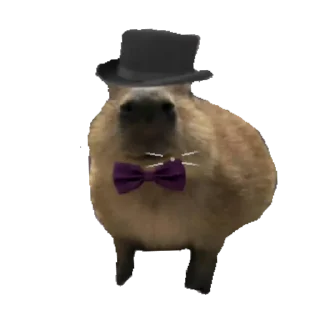 Стикер Создай стики 👉 @new_stickerbot - 5