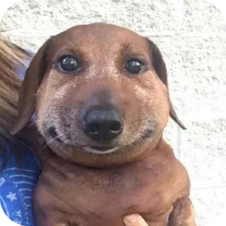 Стикер Создай стики 👉 @new_stickerbot - 7