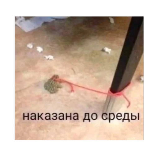 Стикер piZdec3046 - 1