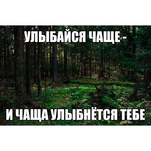 Стикер piZdec3046 - 1