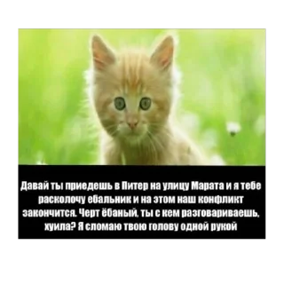 Sticker пиZдец - 10