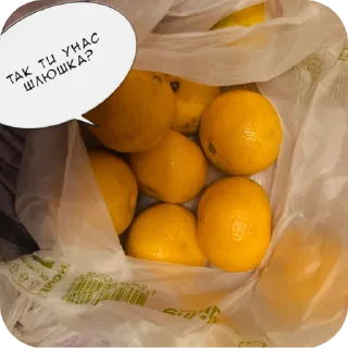 Стикер Optimistic Muskrat ➡️ @EmojiRuBot - 7