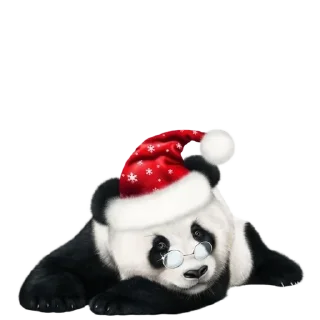 Sticker 𐌽ᥱᥕ Yᥱᥲr fr᧐ⲙ 𓆩ᥫ᭡🎶𝒁𝒐𝒏𝒂 𝑲𝒐𝒎𝒇𝒐𝒓𝒕𝒂🎶𓆩ᥫ᭡ - 5