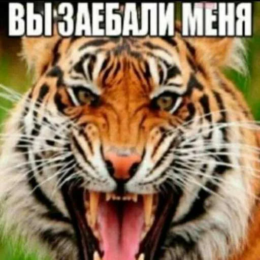 Sticker pk_1526786_by_EmojiRuBot - 1