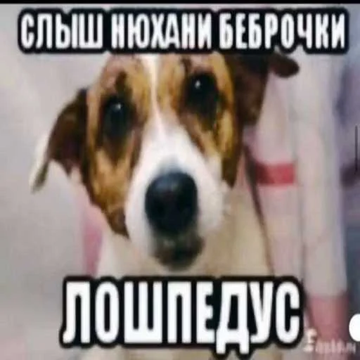 Sticker pk_1526786_by_EmojiRuBot - 1