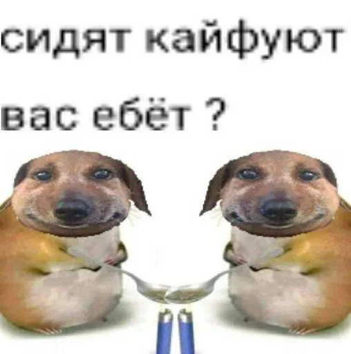 Sticker pk_1526786_by_EmojiRuBot - 1