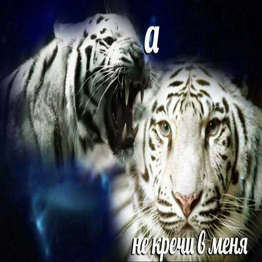 Sticker pk_1526786_by_EmojiRuBot - 1