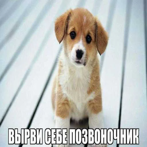 Sticker pk_1526786_by_EmojiRuBot - 1