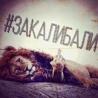 Sticker пошел нахуй ➡️ @EmojiRuBot - 0