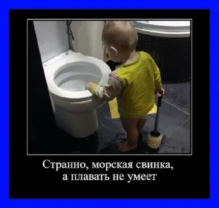 Стикер Лол @TgEmodziBot - 6