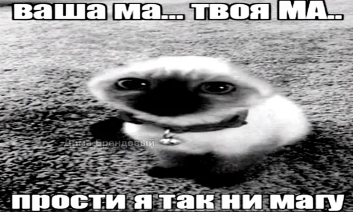 Sticker psdVZvN_by_achestickbot - 1