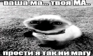 Стикер Больше стиков тут: @stikery4 - 4