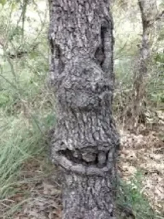 Стикер Больше стиков тут: @stikery4 - 6