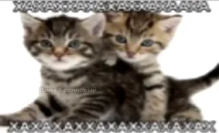 Стикер Больше стиков тут: @stikery4 - 3