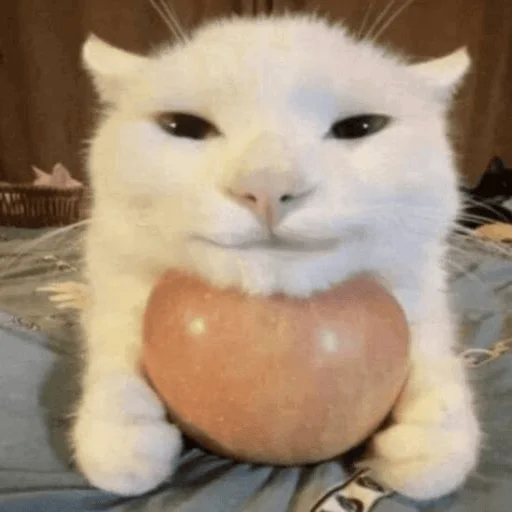 Sticker punksabre - 1