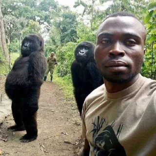 Sticker @punksabre666 - 5