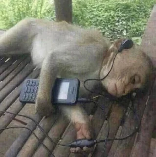 Sticker @punksabre666 - 10