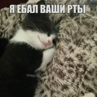 Стикер апупенные стикеры @givemeyoursoftlips😜 - 8