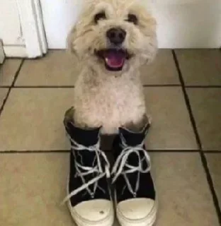 Стикер апупенные стикеры @givemeyoursoftlips😜 - 2