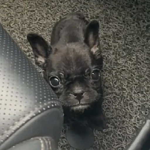 Сигнатурочки @telliumz - 