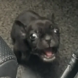 Sticker Сигнатурочки @telliumz - 9