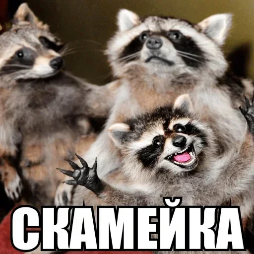 Sticker qrKYyzA_by_achestickbot - 1