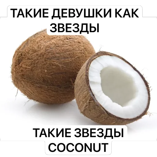 Sticker randnoxstix - 1