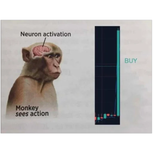 Sticker randnoxstix - 1