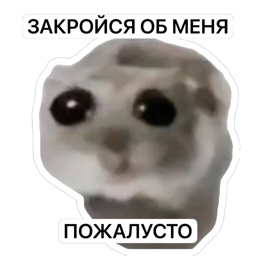 Sticker randnoxstix - 1