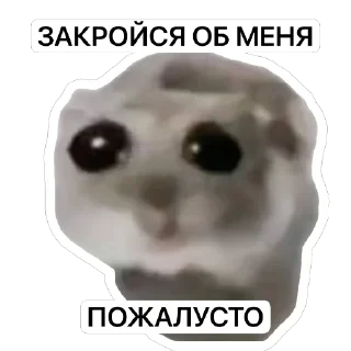 Стикер Rand nox stix - 2