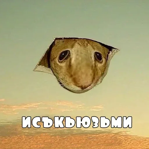 Sticker rdtys_by_erygtrtsbot - 1